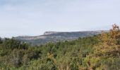 Tocht Stappen Le Castellet - Les crêtes de Cuges les Pins - Photo 4