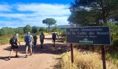 Tocht Stappen Le Muy - SityTrail - les p'tits étangs de Palayson - Photo 2