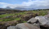 Tour Wandern West Cork - Ardgroom -  Eyeries - Photo 8