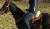 Tour Reiten Quirinsweiler - Golan vispa rond pré st quirin  - Photo 1
