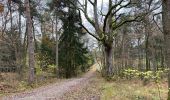 Tour Wandern Raeren - Raeren 22,5 - Photo 4