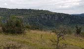 Randonnée Marche Meyrueis - Meyruies - Gorges de la Jonte - Grotte de Dagilan - Photo 20