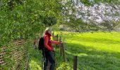 Randonnée A pied Lasne - Lasne pepere - Photo 6