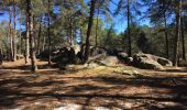 Trail Walking Fontainebleau - Fontainebleau, Gorges du Houx et Gorges de Franchard - Photo 18