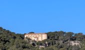 Excursión Senderismo Gruissan - Gruissan La Chapelle des Auzils Marche à pied - Photo 3