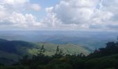 Randonnée Marche Meyrueis - Meyrues à observatoire Mont Aigoual  - Photo 4