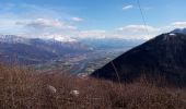 Tocht Stappen Montaud - La dent de Moirans - Photo 16