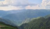 Trail Walking Stosswihr - Honeck depuis Gaschney - Photo 9