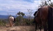 Trail Horseback riding Bénonces - col de portes - Photo 3