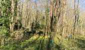 Trail Walking Saint-Jean-sur-Mayenne - Château de la Merveile - Photo 5