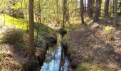 Tour Zu Fuß Gifhorn - Großer Rundweg - Photo 8