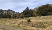 Excursión Senderismo Chambon-sur-Lac - Chaudefour sancy par kes crêtes  - Photo 17