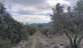 Excursión Senderismo Saint-Paul-le-Jeune - randonnee des combes blancs - Photo 17