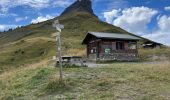 Randonnée Marche Cordon - LES MOUILLES-PIC NOIR-LA CABANE DU PETIT PATRE - Photo 4