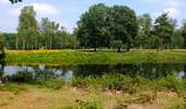 Tour Zu Fuß Oosterhout - Kunstroute - Photo 9
