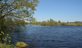 Trail On foot Heide - Rundwanderweg - Tour 2 - Photo 4