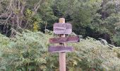 Tocht Stappen Orgeix - col de l'Osque 2021 - Photo 3