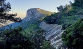 Randonnée Marche Toulon - Uba - St Antoine - Point sublime - Sommet du Faron - Retour Uba - Photo 5