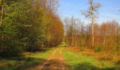 Trail On foot Tracy-le-Mont - le GR655 dans les Forêts de Laigue et de Compiègne - Photo 14