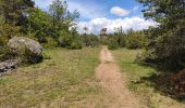 Trail Walking La Roque-Sainte-Marguerite - Roquesalte depuis la roque st marguerite - Photo 6