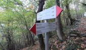 Trail On foot Roncola - Sentiero 861: Barzana - Palazzago - Monte Albenza (Sentiero del crinale) - Photo 6