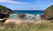 Tour Wandern Cléden-Cap-Sizun - Pointe du Van - Photo 13