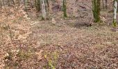 Trail Walking Vouthon-Haut - repérage bois de Greux  - Photo 10