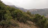Trail Walking Mazaugues - Mourre d' Agnis-16-03-21 - Photo 3