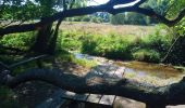 Tour Wandern Douarnenez - DOUARNENEZ / POULDERGAT  - Photo 3