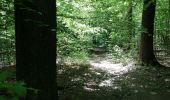 Tour Wandern Verviers - aqueduc-bois de Jalhay-Cossart  - Photo 2