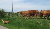 Trail On foot La Roche-en-Ardenne - 3. Les Hatilles - Photo 3