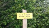 Trail Walking Saint-Ours - Puy de Jumes puy de la Coquille - Photo 3