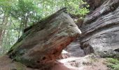 Tour Wandern Münchweiler an der Rodalb - Pirmasens - Felsenwald - Photo 13