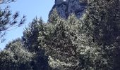 Trail Walking Cheval-Blanc - gorge regalon Claudine Dan - Photo 2