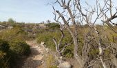 Excursión Senderismo Leucate - leucate - la franqui (via le plateau) - phare (via la falaise) - leucate (via le plateau) - Photo 2