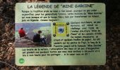 Trail Walking Furmeyer - sentier de decouverte de furmeyer - Photo 8