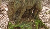 Tour Wandern Ottrott - St Odile Brigitte - Photo 6