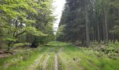 Trail Walking Spa - spa gué des artistes. malchamps . ligne 44 . niveze - Photo 9