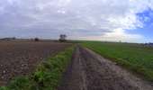 Trail Mountain bike Charleroi - SityTrail - 2976299 - vtt-de-ransart-sur-villers-la-ville-nouveau-50km - Photo 3