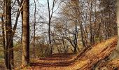 Tour Wandern Aubel - Abbaye de Val Dieu - Photo 2