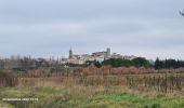 Tocht Stappen Combas - Combats Montpezat - Photo 12