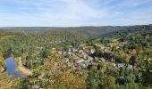 Tocht Stappen Vresse-sur-Semois - rando laforêt 6/08/2020 - Photo 15