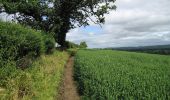 Tocht Te voet Unknown - Corvedale Three Castles Walk - Photo 1