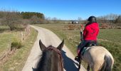 Tocht Paardrijden Léglise - Légalise via Rancimont - Photo 6