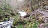 Tocht Stappen Jalhay - pont de belle heid la vallée de la hoegne - Photo 1