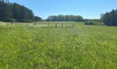 Tocht Stappen Gedinne -  Vallée De la Hulle Bourseigne la neuve - Photo 2