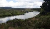 Tour Wandern Pont de Montvert - Sud Mont Lozère - Pont Lozère versant sud : beal de Felgerolles Pont du Tarn  - Photo 10