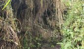 Tocht Stappen Baños de Agua Santa - Baños - Casa del Arbol - Photo 11