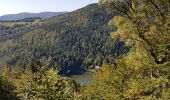 Randonnée Marche Saint-Maurice-sur-Moselle - Rouge Gazon - Lacs des Perches et du Neuweiher - Col des Charbonniers  - Photo 11