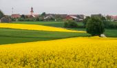 Randonnée A pied Greding - Quellenwanderweg - Photo 6